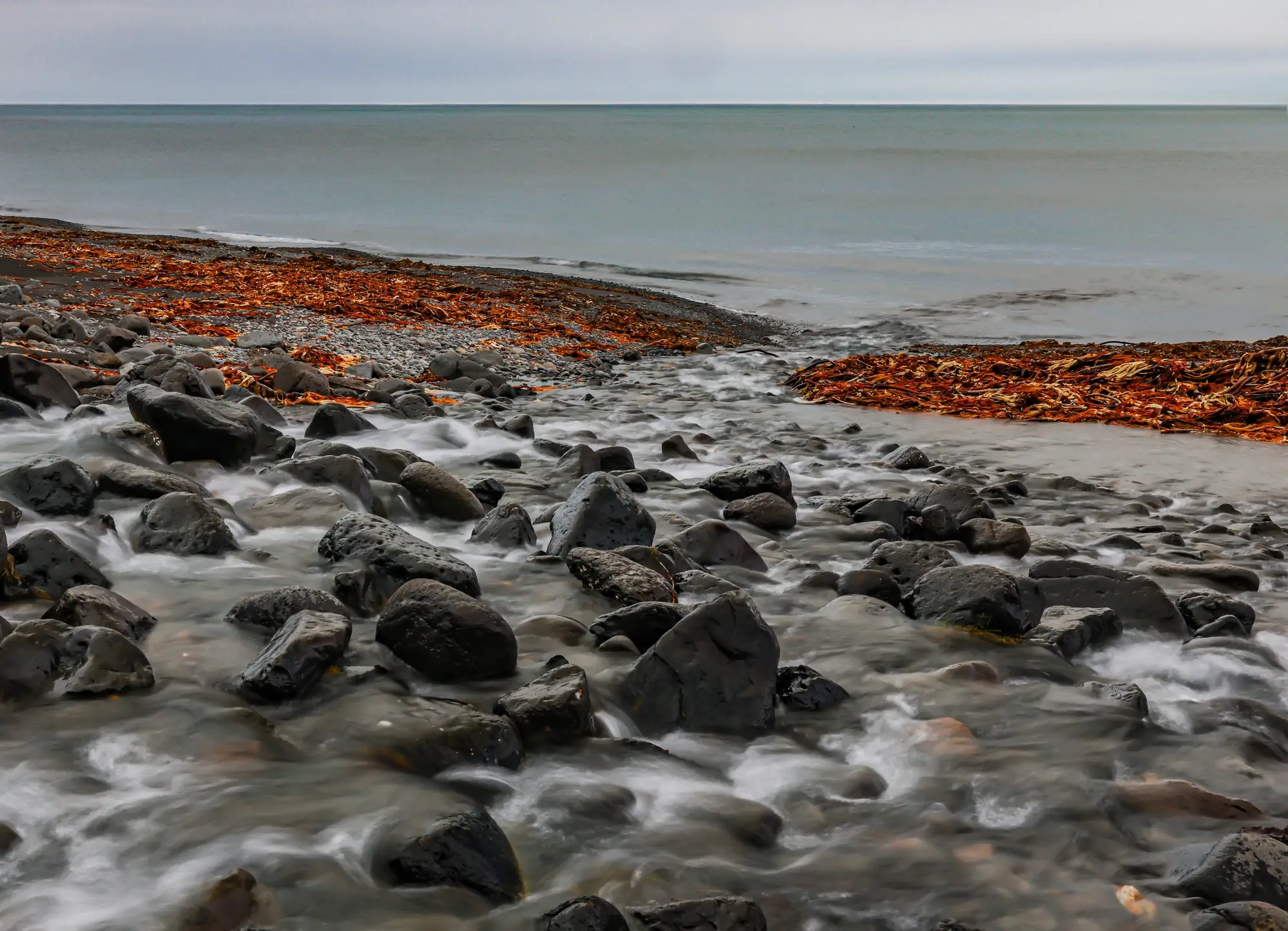 Felsige Inselküste mit Seegras und Wasser, das in einen ruhigen, grauen Ozean unter einem bewölkten Himmel fließt.