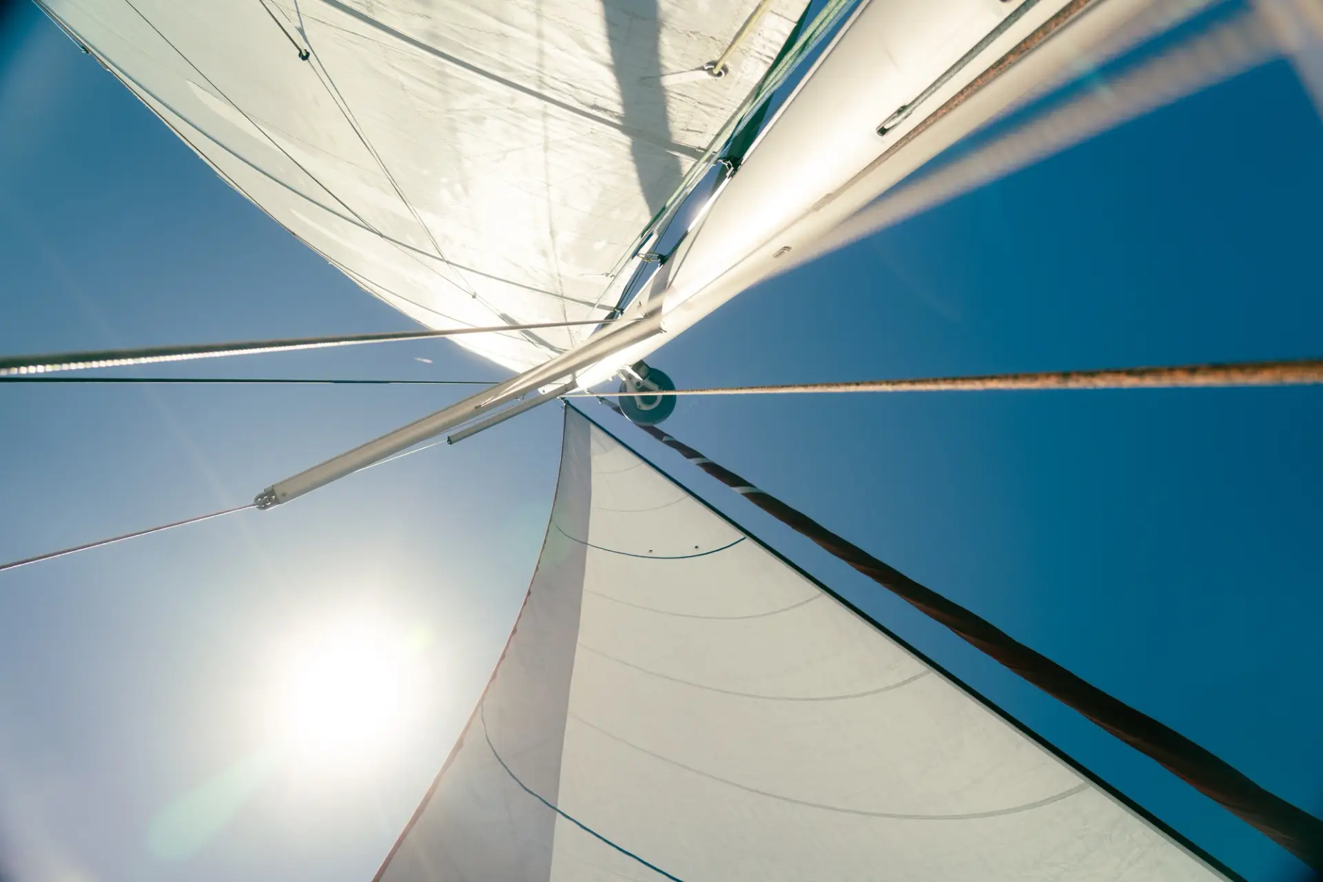 Blick von unten auf die weißen Segelboote von Die Ocean Life bei strahlend blauem Himmel und heller Sonne.